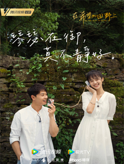 2021年9月播出的高分电视剧汇总,你追过哪部?