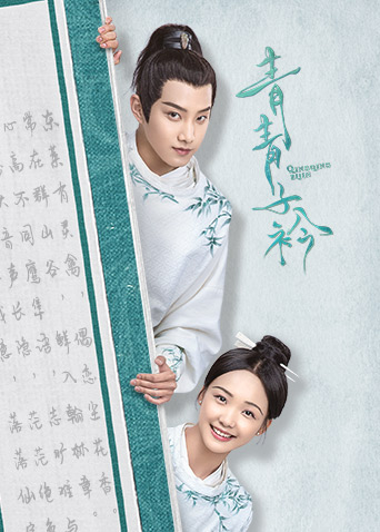 2020年8月播出的高分电视剧汇总,你追过哪部?