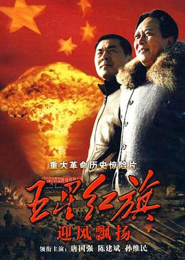 2011年1月播出的高分电视剧汇总,你追过哪部?