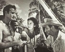 在巴伊亚的天空下