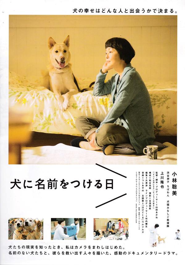 2015年10月上映的高分电影汇总,【必看推荐】建议收藏