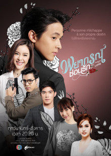 2020年6月播出的高分电视剧汇总,你追过哪部?