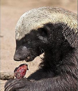 2014年4月播出的高分电视剧汇总,你追过哪部?