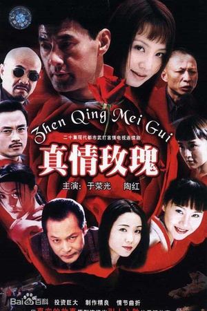 2010年1月播出的高分电视剧汇总,你追过哪部?