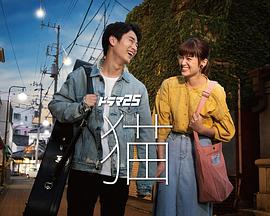 2020年11月播出的高分电视剧汇总,你追过哪部?