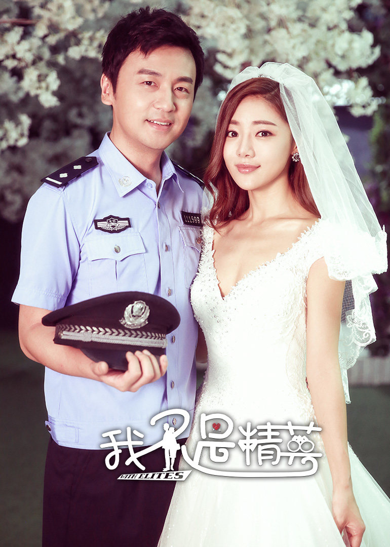 2017年11月播出的高分电视剧汇总,你追过哪部?