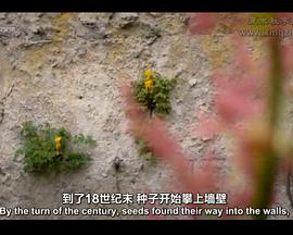 2011年6月上映的高分电影汇总,【必看推荐】建议收藏