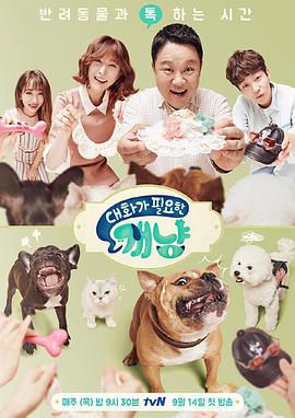 2017年9月播出的高分电视剧汇总,你追过哪部?