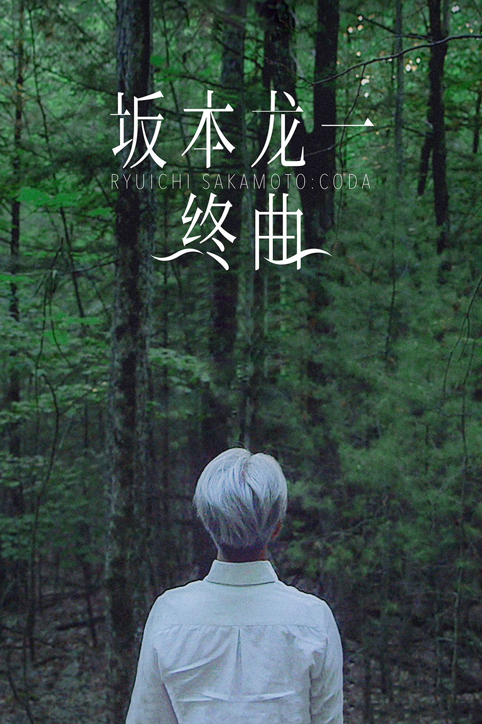 2017年11月上映的高分电影汇总,【必看推荐】建议收藏