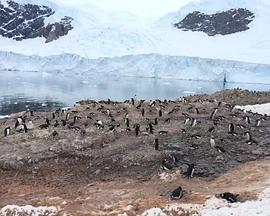2016年5月上映的高分电影汇总,【必看推荐】建议收藏