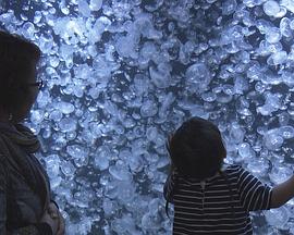 2017年6月上映的高分电影汇总,【必看推荐】建议收藏