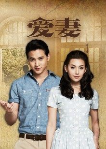 2016年1月播出的高分电视剧汇总,你追过哪部?