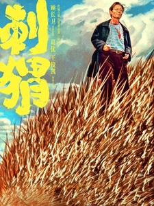 2024年8月上映的高分电影汇总,【必看推荐】建议收藏