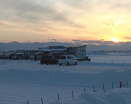 2016年3月上映的高分电影汇总,【必看推荐】建议收藏