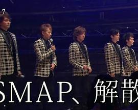 2014年7月播出的高分电视剧汇总,你追过哪部?