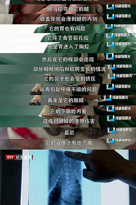 2012年8月上映的高分电影汇总,【必看推荐】建议收藏