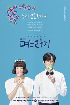 2020年11月播出的高分电视剧汇总,你追过哪部?