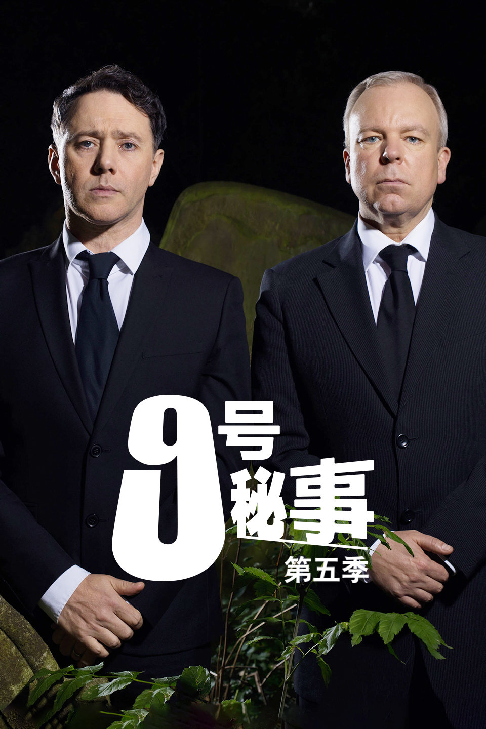 2020年2月播出的高分电视剧汇总,你追过哪部?