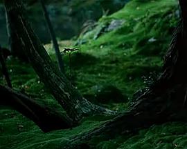 2010年10月上映的高分电影汇总,【必看推荐】建议收藏