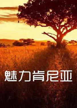 2012年1月播出的高分电视剧汇总,你追过哪部?