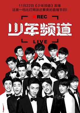 2015年11月播出的高分电视剧汇总,你追过哪部?