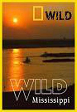 2012年2月上映的高分电影汇总,【必看推荐】建议收藏