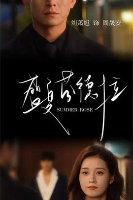 2025年9月播出的高分电视剧汇总,你追过哪部?