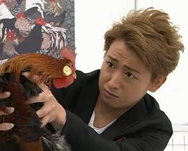 2011年4月上映的高分电影汇总,【必看推荐】建议收藏