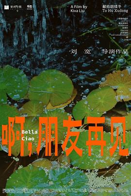2022年5月播出的高分电视剧汇总,你追过哪部?