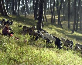 2021年1月上映的高分电影汇总,【必看推荐】建议收藏