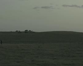 一半人，一半鬼魂