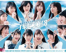 2017年4月播出的高分电视剧汇总,你追过哪部?