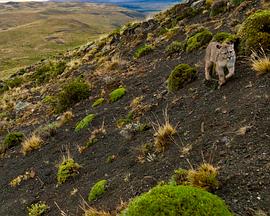 2023年6月播出的高分电视剧汇总,你追过哪部?