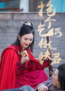 2021年1月播出的高分电视剧汇总,你追过哪部?