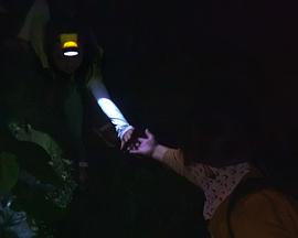 2023年1月上映的高分电影汇总,【必看推荐】建议收藏