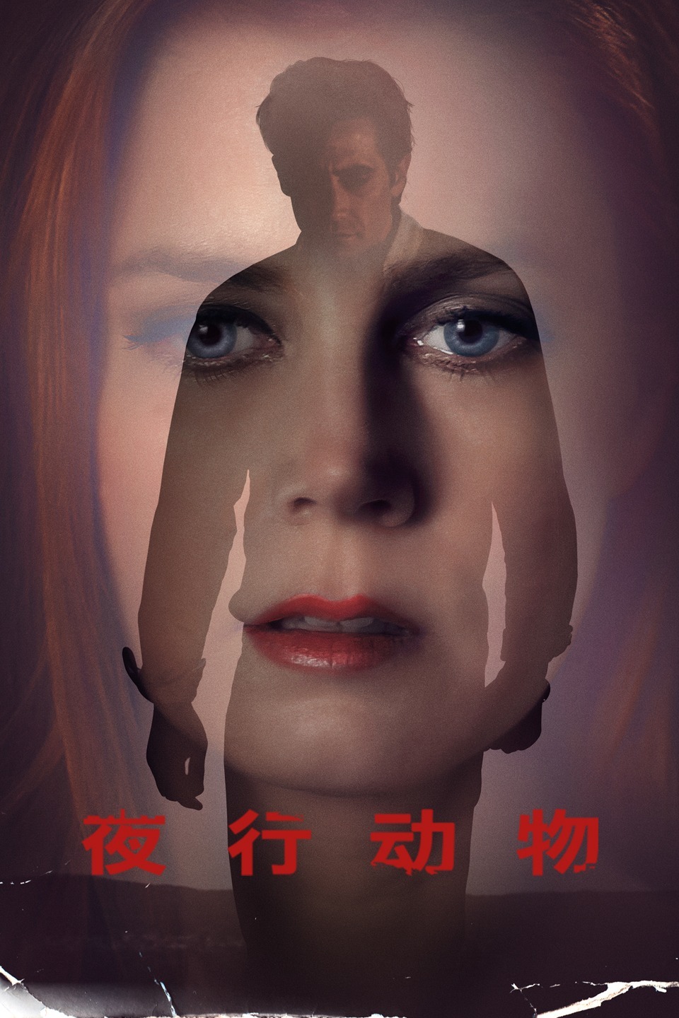 2016年11月上映的高分电影汇总,【必看推荐】建议收藏