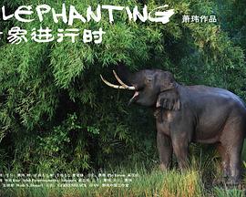 2010年8月上映的高分电影汇总,【必看推荐】建议收藏