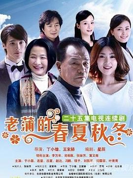 2011年11月播出的高分电视剧汇总,你追过哪部?