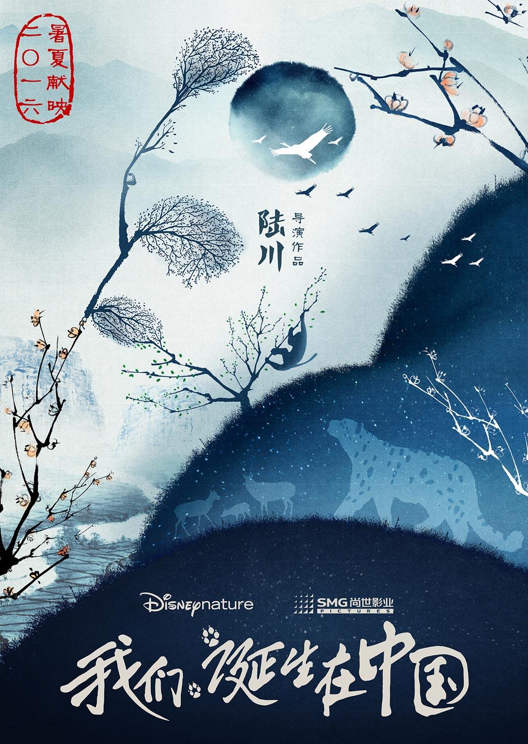 2016年8月上映的高分电影汇总,【必看推荐】建议收藏