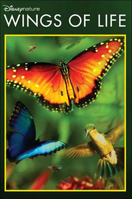 2013年4月上映的高分电影汇总,【必看推荐】建议收藏