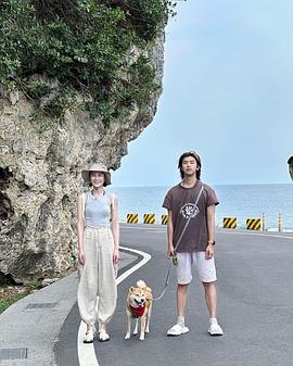 2023年11月播出的高分电视剧汇总,你追过哪部?