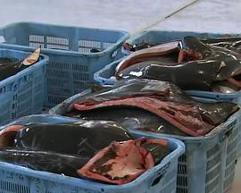 2011年5月上映的高分电影汇总,【必看推荐】建议收藏