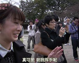 2012年5月播出的高分电视剧汇总,你追过哪部?