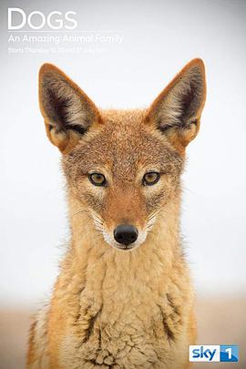 2017年7月上映的高分电影汇总,【必看推荐】建议收藏