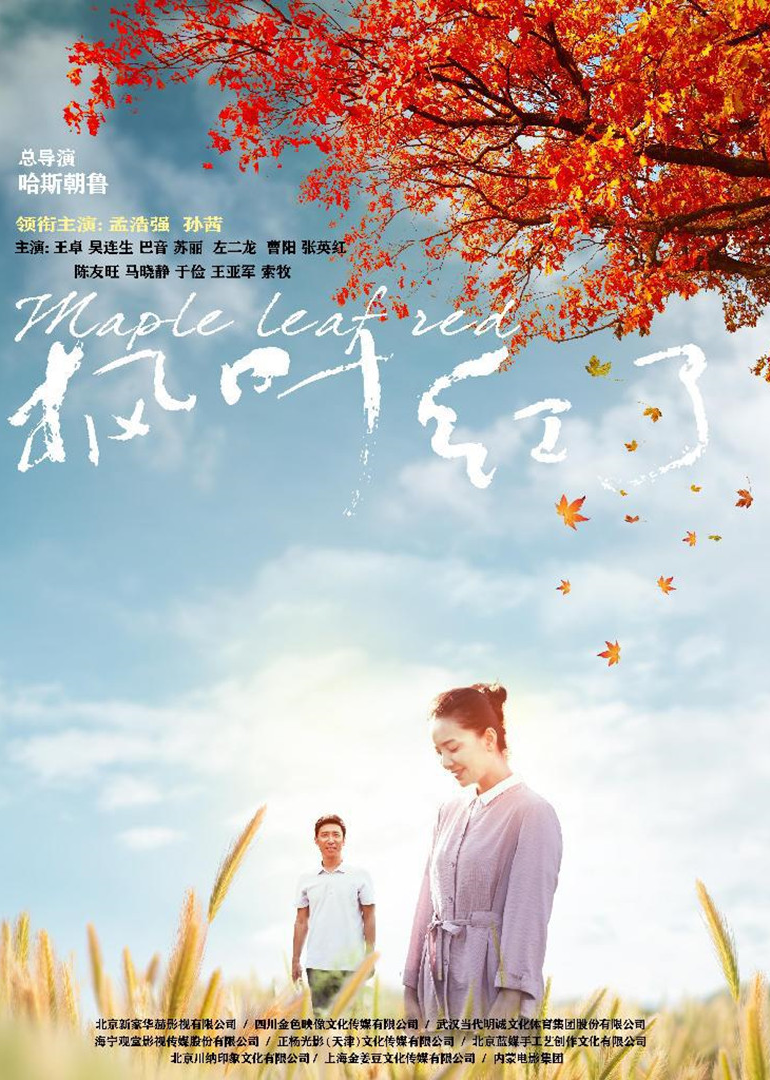 2020年8月播出的高分电视剧汇总,你追过哪部?