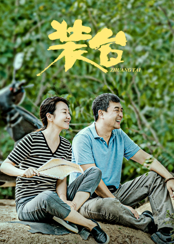 2020年11月播出的高分电视剧汇总,你追过哪部?