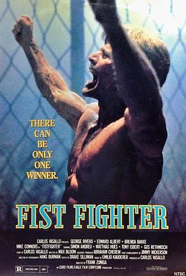 Fist Fighter