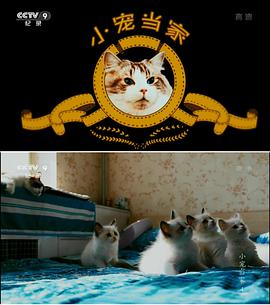 2015年4月上映的高分电影汇总,【必看推荐】建议收藏