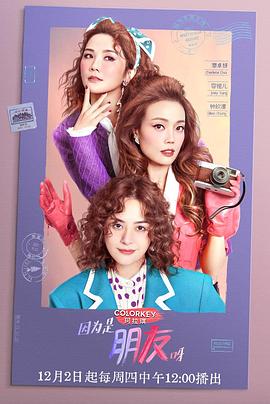 2021年12月播出的高分电视剧汇总,你追过哪部?