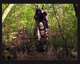 2010年7月播出的高分电视剧汇总,你追过哪部?